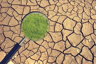 守護源頭活水——云南多措并舉打好長江上游污染防治攻堅戰 筑牢土壤環境安全屏障