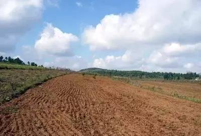 全球視野下的土壤治理 污染防治服務的國際經驗與啟示